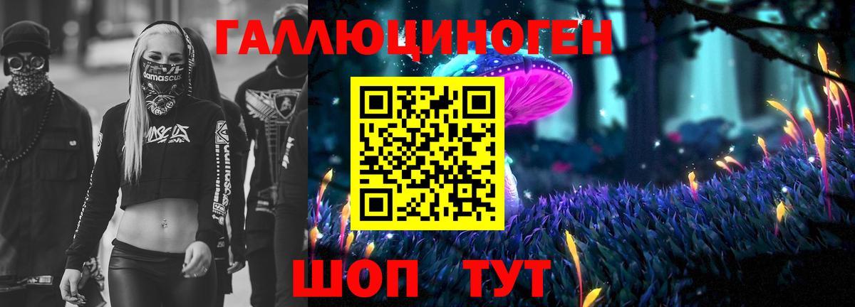 Галлюциногенные грибы Psilocybe  Вход с VPN  Ступино 